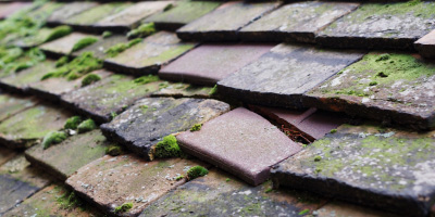 Princes Risborough roof repair costs